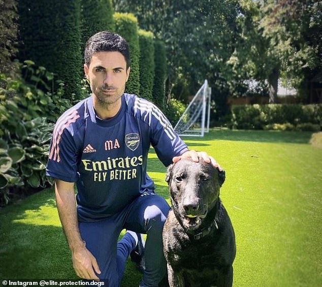 Mikel Arteta and his new best friend, via Elite Protection Dogs